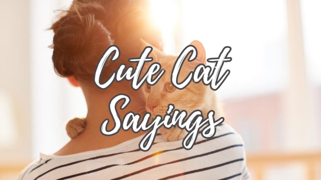 Purrfect Sayings: Celebrating Cats with Wit & Wisdom 2024
