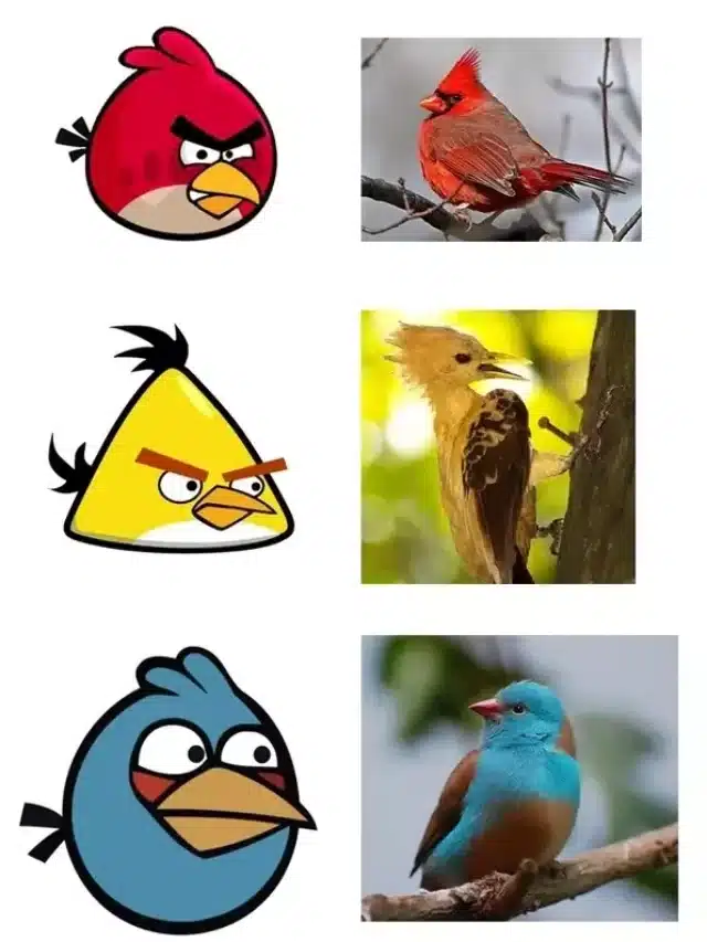 Top 10 strongest angry birds tier list
